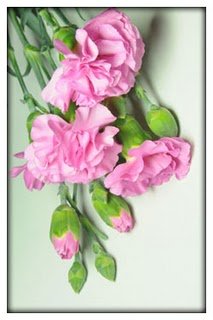 Mother's-Day-Manners-for-Flowers-at-Church